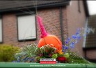130430 Optocht Wilma (17)